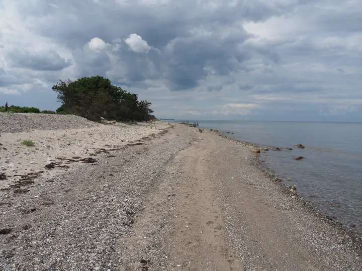 Halshuisene + Enebaerodde Beach (Denemarken)